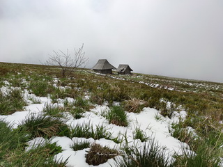 Połonina Wetlińska Chatka Puchatka foto 2024