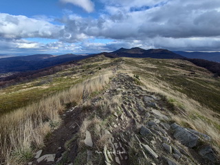 Smerek Bieszczady
