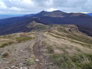 Smerek Bieszczady