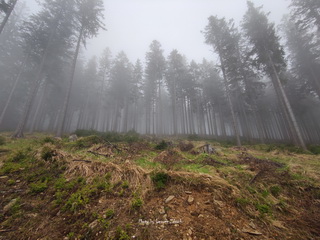 Śnieżnik Foto maj 2023