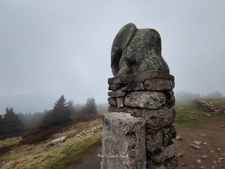 Śnieżnik Foto maj 2023