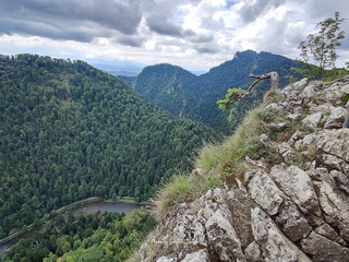Sokolica