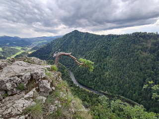 Sokolica