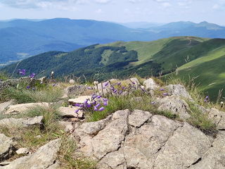 Tarnica szlak od Ustrzyk Górnych