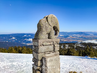 Śnieżnik