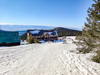 Śnieżnik