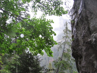 Jaskinia Mroźna