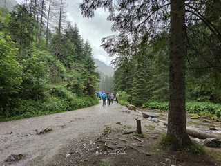 Dolina Kościeliska Foto Galeria Lipiec