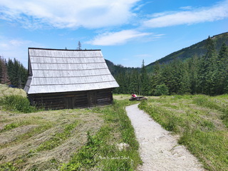 Kopieniec, Nosal