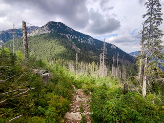 W drodze na Ornak - Dolina Kościeliska - Tatry