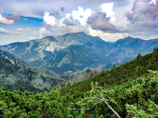 W drodze na Ornak - Dolina Kościeliska - Tatry
