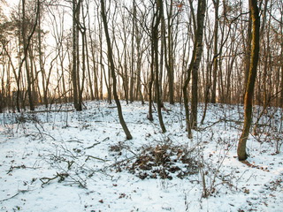 Cmentarz choleryczny w Krotoszynie