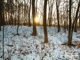 Cmentarz choleryczny w Krotoszynie