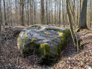 Diabelski kamień - Roszki