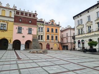 Tarnów